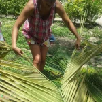 Photo 48