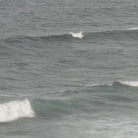 Vagues à Souffleur