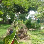 Photo 50