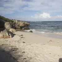 Paysage1