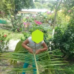Photo 49